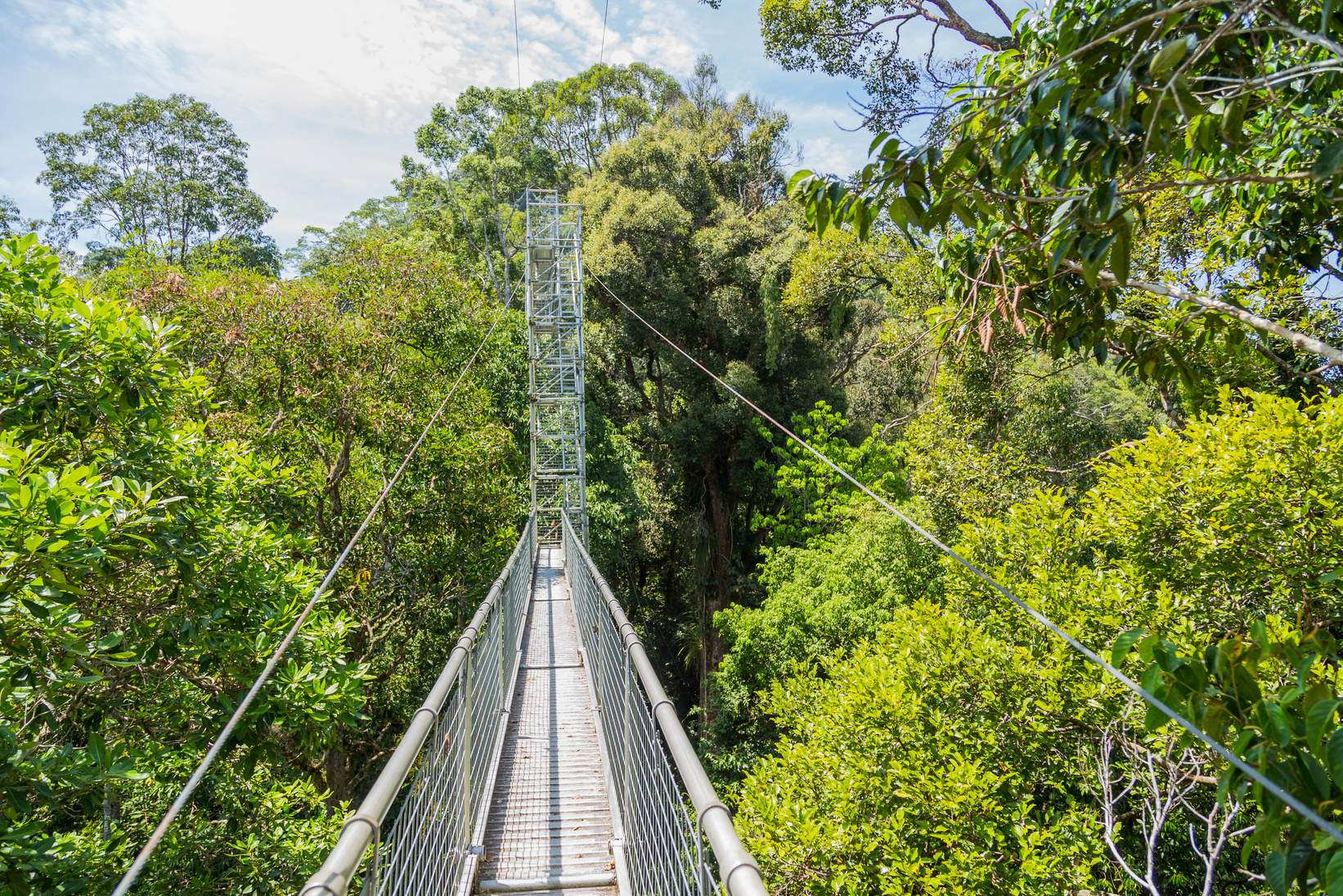 Ulu Temburong National Park