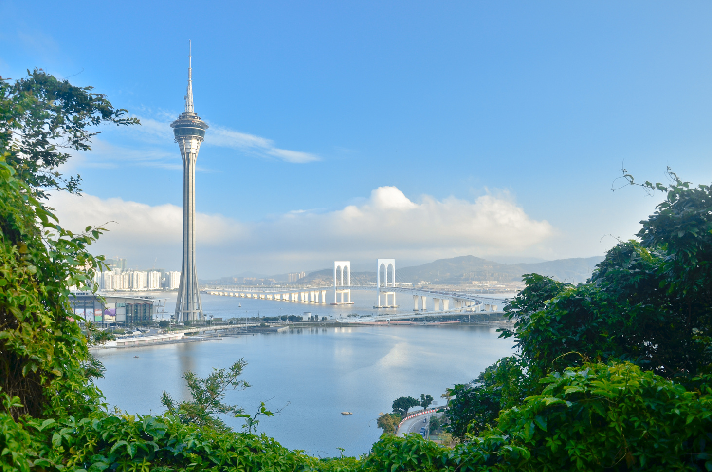 Macau tower