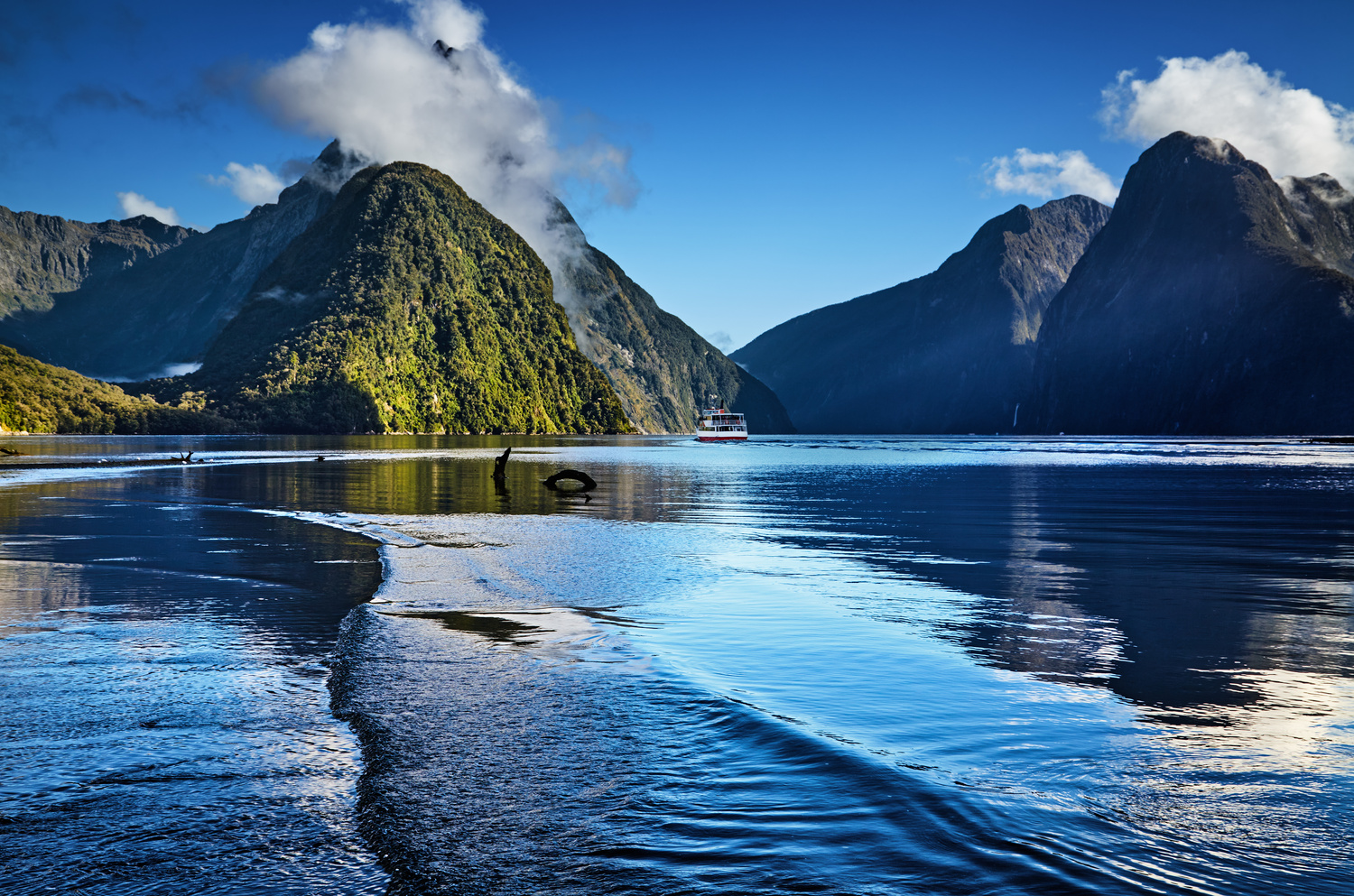 Milford Sound, New Zealand