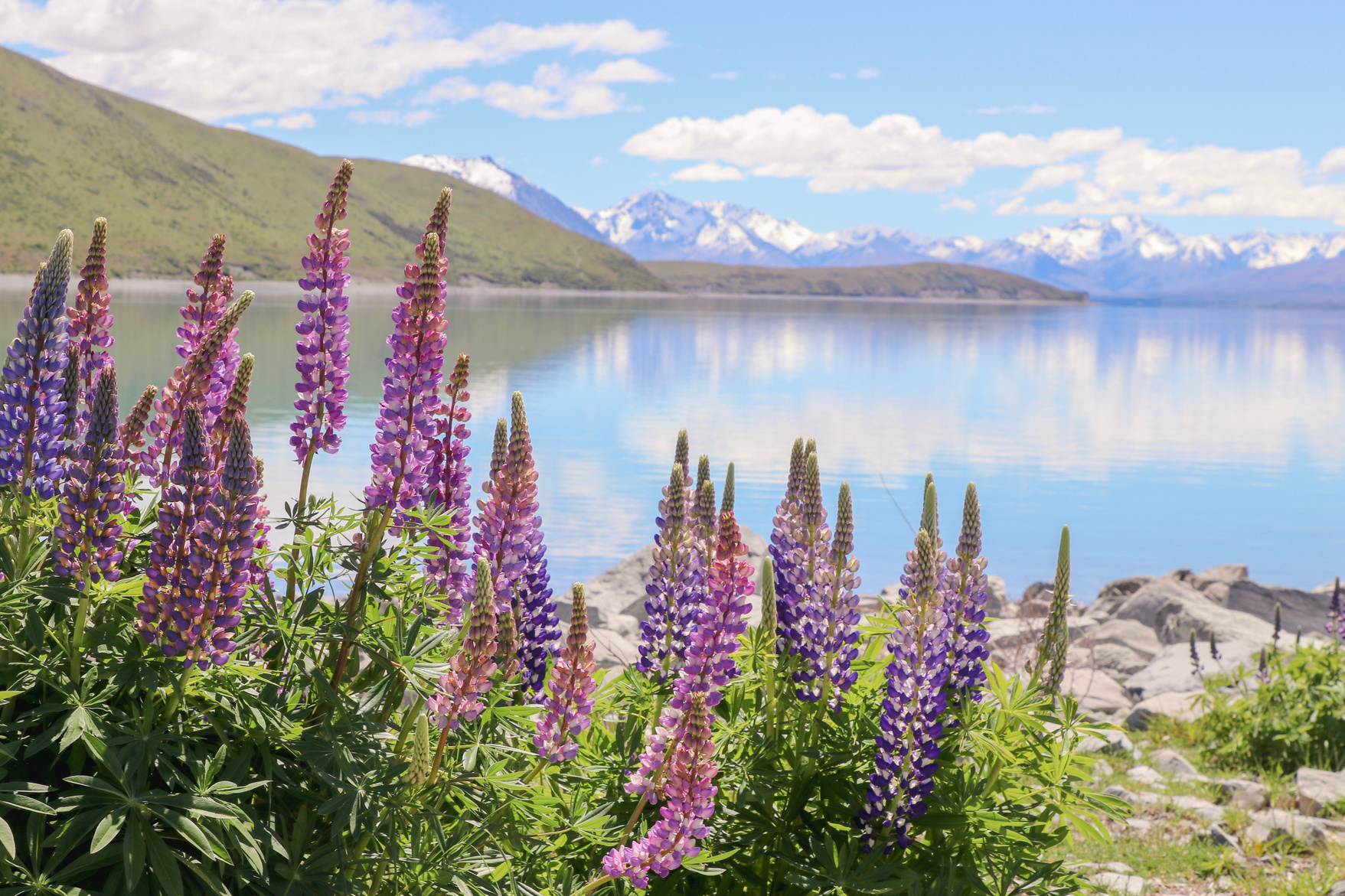 Lake Tekapo