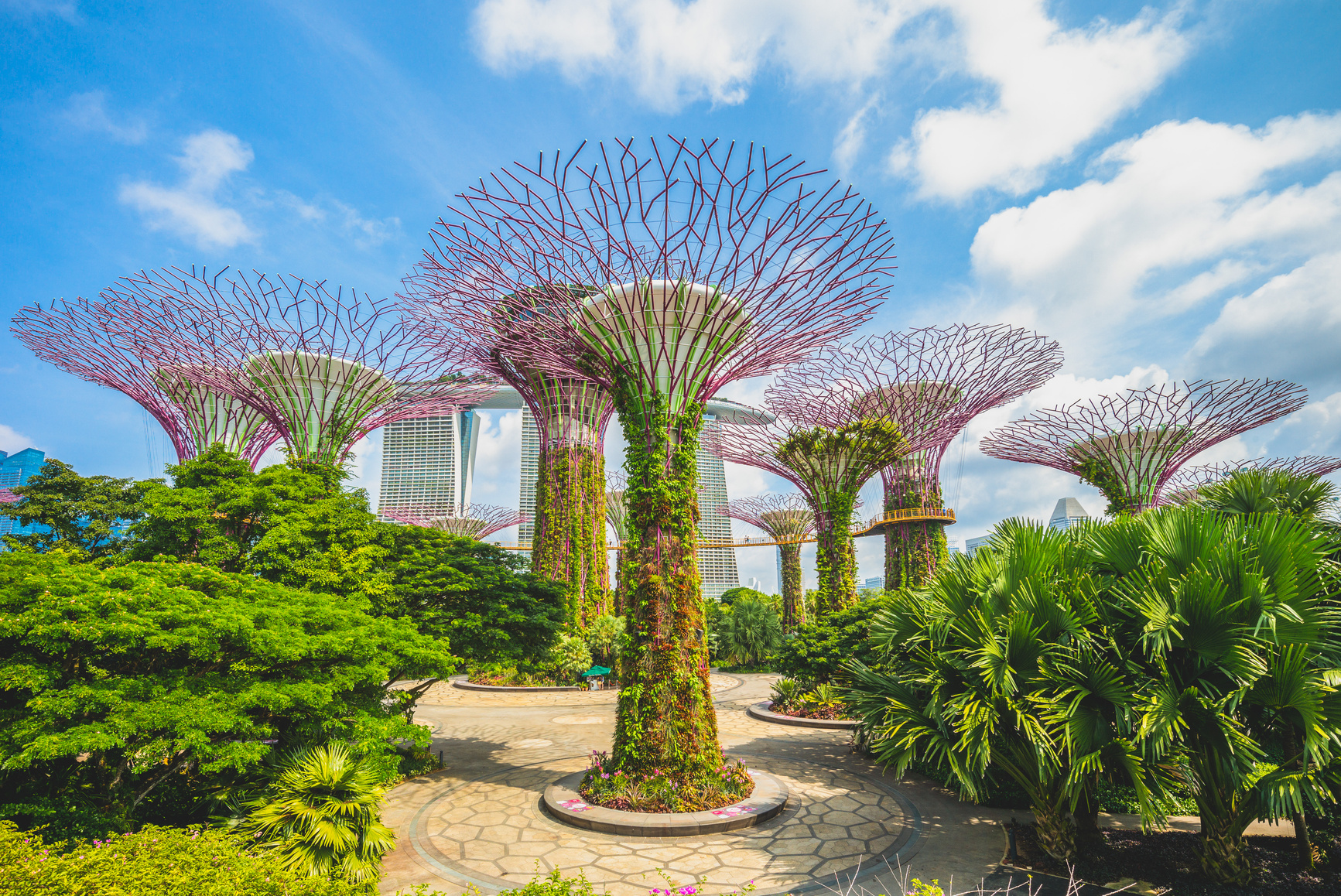 Landscape of Gardens by the Bay in singapore